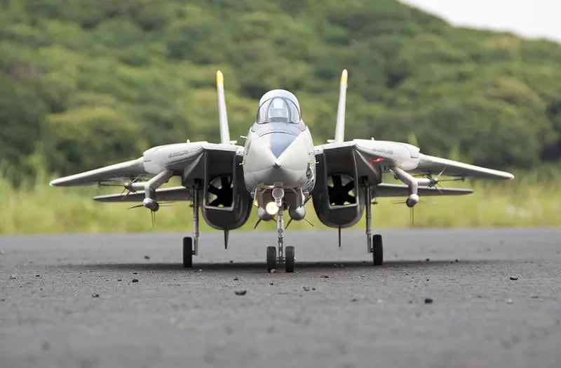 Freewing Dual 80mm EDF RC Airplane Jet Model F-14 Tomcat with Variable Sweep Wing KIT with servos or 6S PNP SET TWINS 80 EDF