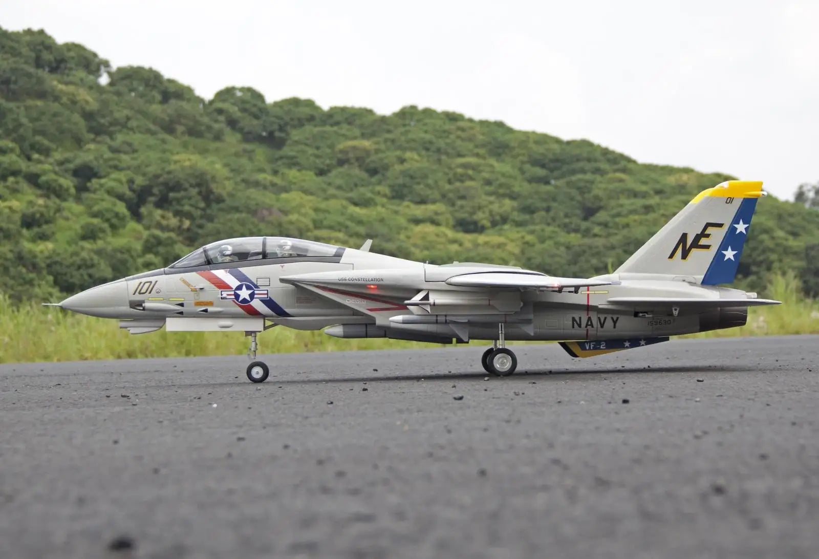 Freewing Dual 80mm EDF RC Airplane Jet Model F-14 Tomcat with Variable Sweep Wing KIT with servos or 6S PNP SET TWINS 80 EDF