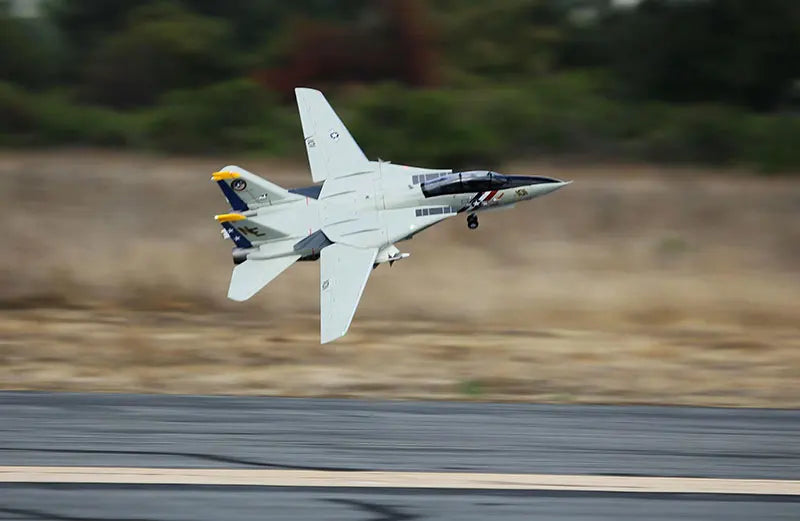 Freewing Dual 80mm EDF RC Airplane Jet Model F-14 Tomcat with Variable Sweep Wing KIT with servos or 6S PNP SET TWINS 80 EDF