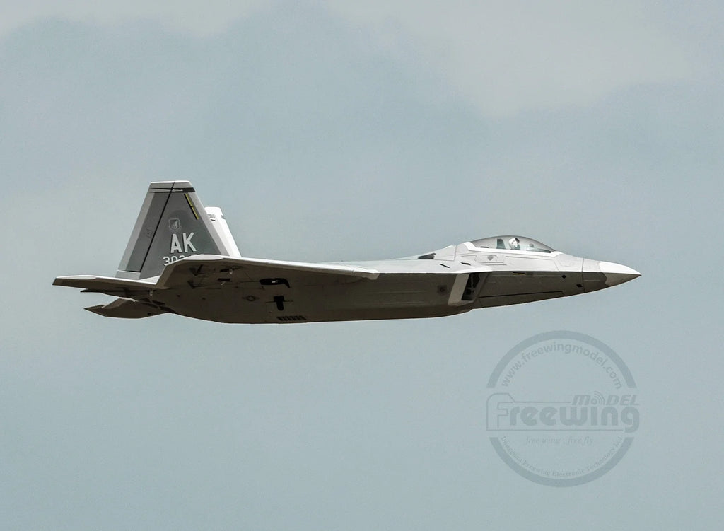 Freewing Flying Wing Model 70mm F-22 Raptor American "Raptor" Channel Fifth Generation Fighter Model Aircraft Toy Model