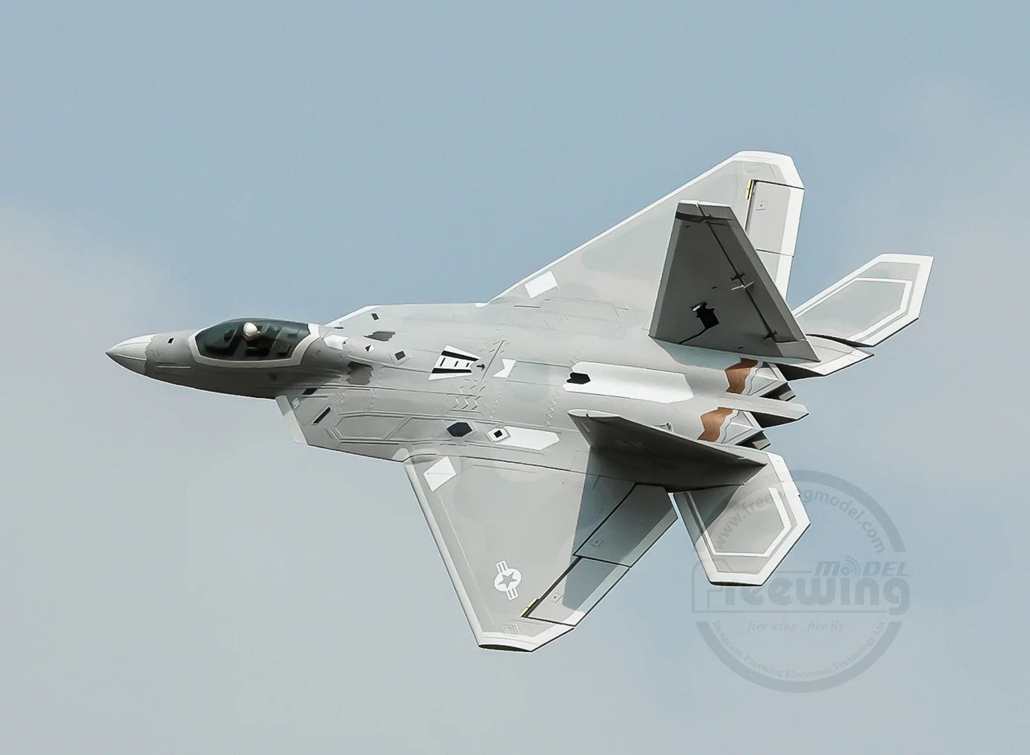 Freewing Flying Wing Model 70mm F-22 Raptor American "Raptor" Channel Fifth Generation Fighter Model Aircraft Toy Model