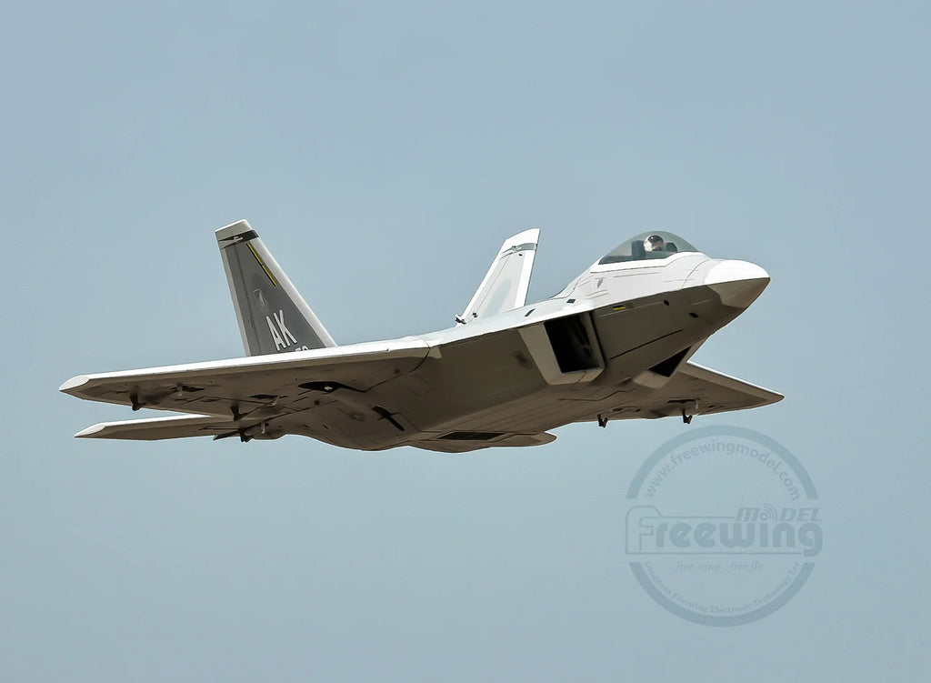Freewing Flying Wing Model 70mm F-22 Raptor American "Raptor" Channel Fifth Generation Fighter Model Aircraft Toy Model