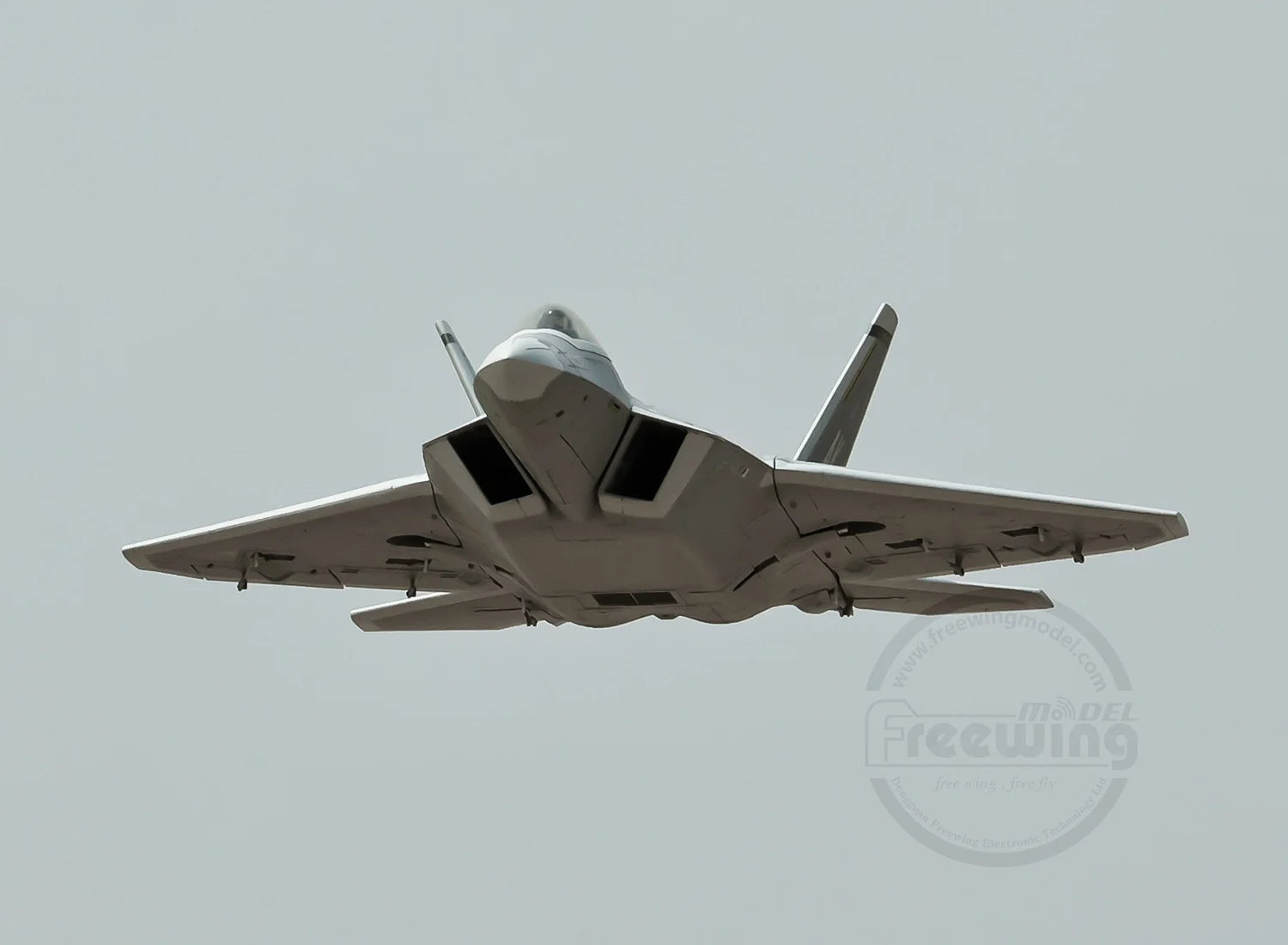 Freewing Flying Wing Model 70mm F-22 Raptor American "Raptor" Channel Fifth Generation Fighter Model Aircraft Toy Model