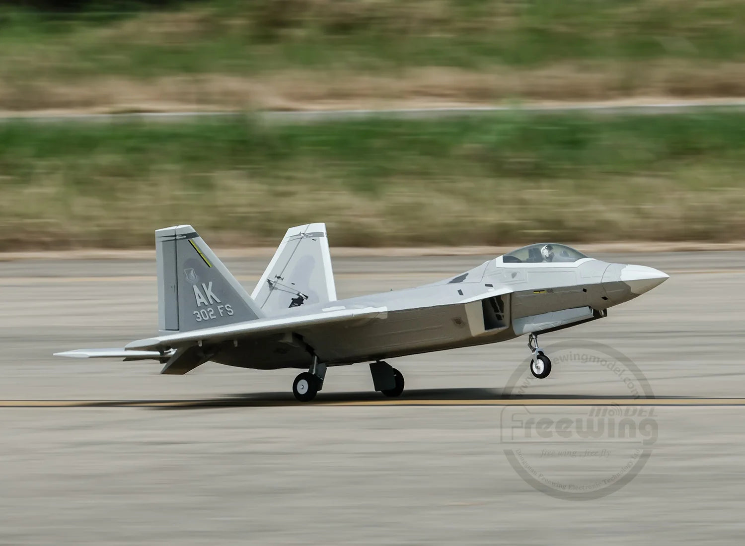 Freewing Flying Wing Model 70mm F-22 Raptor American "Raptor" Channel Fifth Generation Fighter Model Aircraft Toy Model